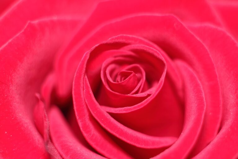 comedii romantice