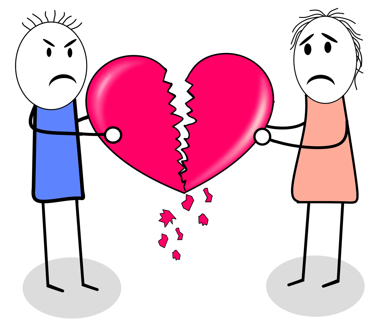 bianca niculae divort