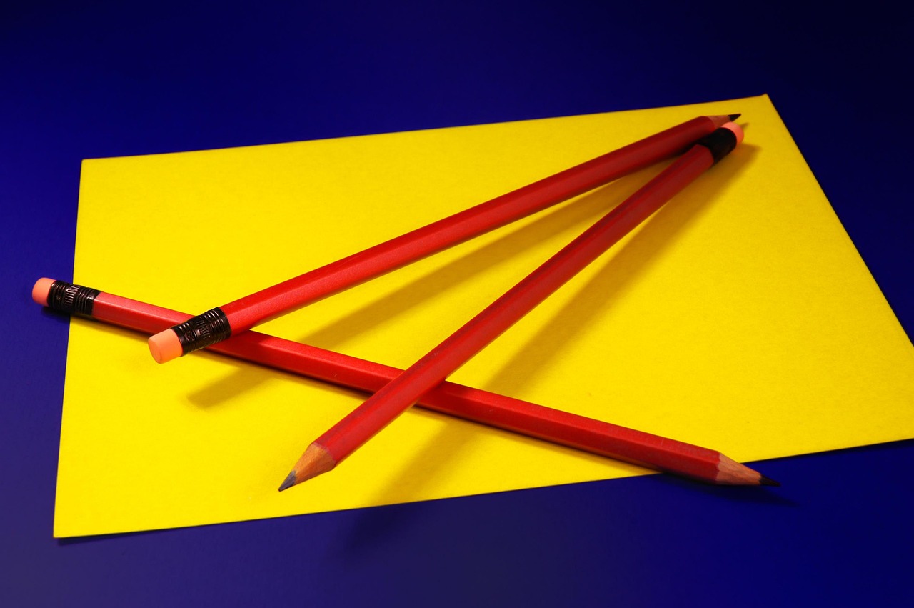 natalie portman educatie