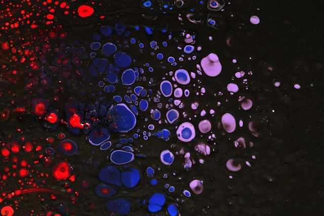 maria kovalets qd9hwblsnoi unsplash