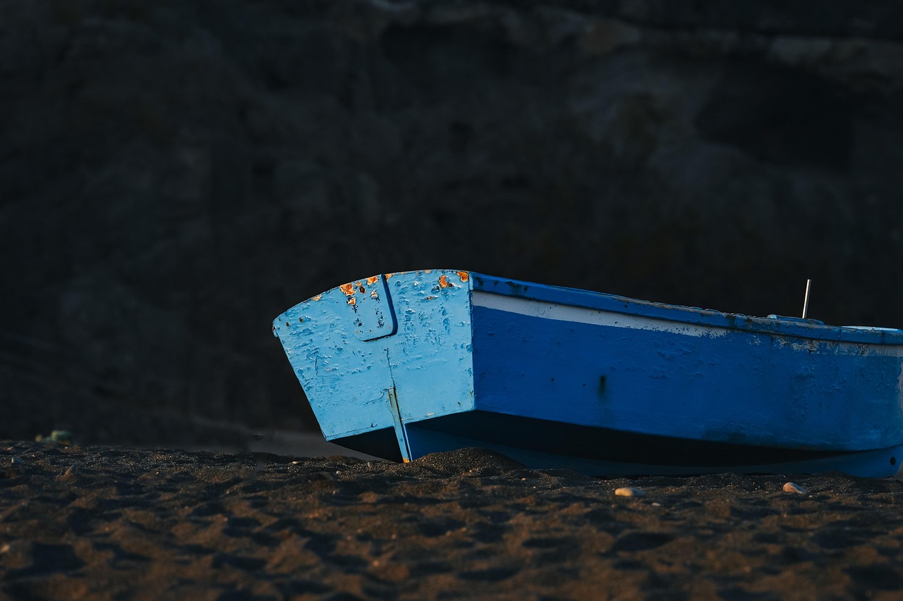 festivalul beach please