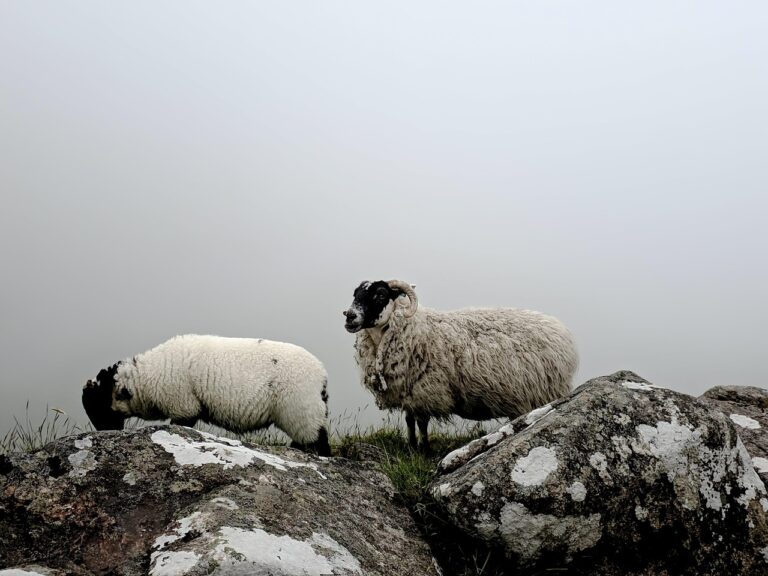 filme cu angelina jolie