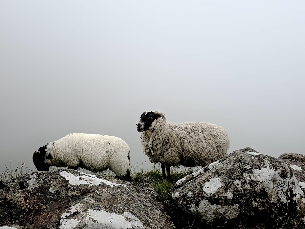 filme cu angelina jolie